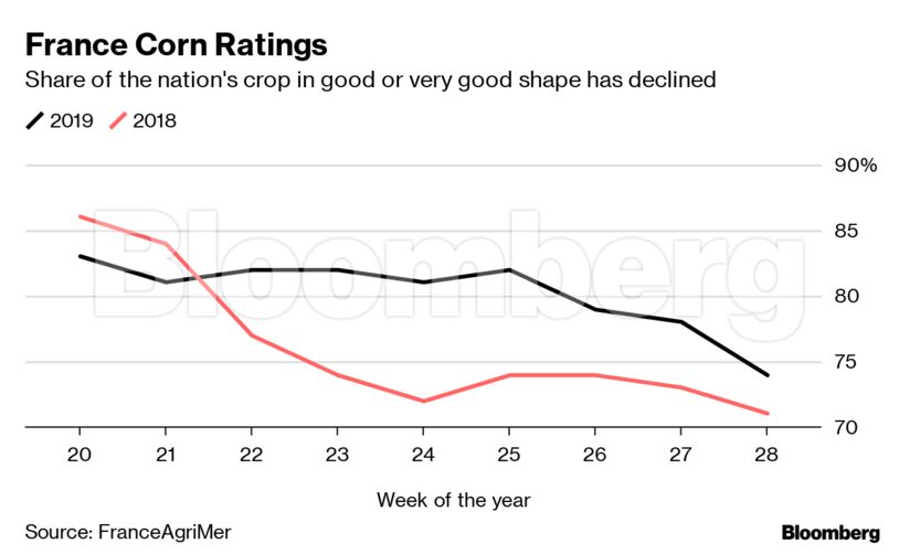 France Corn Ratings
