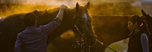 Kentucky Derby and Oaks Workouts