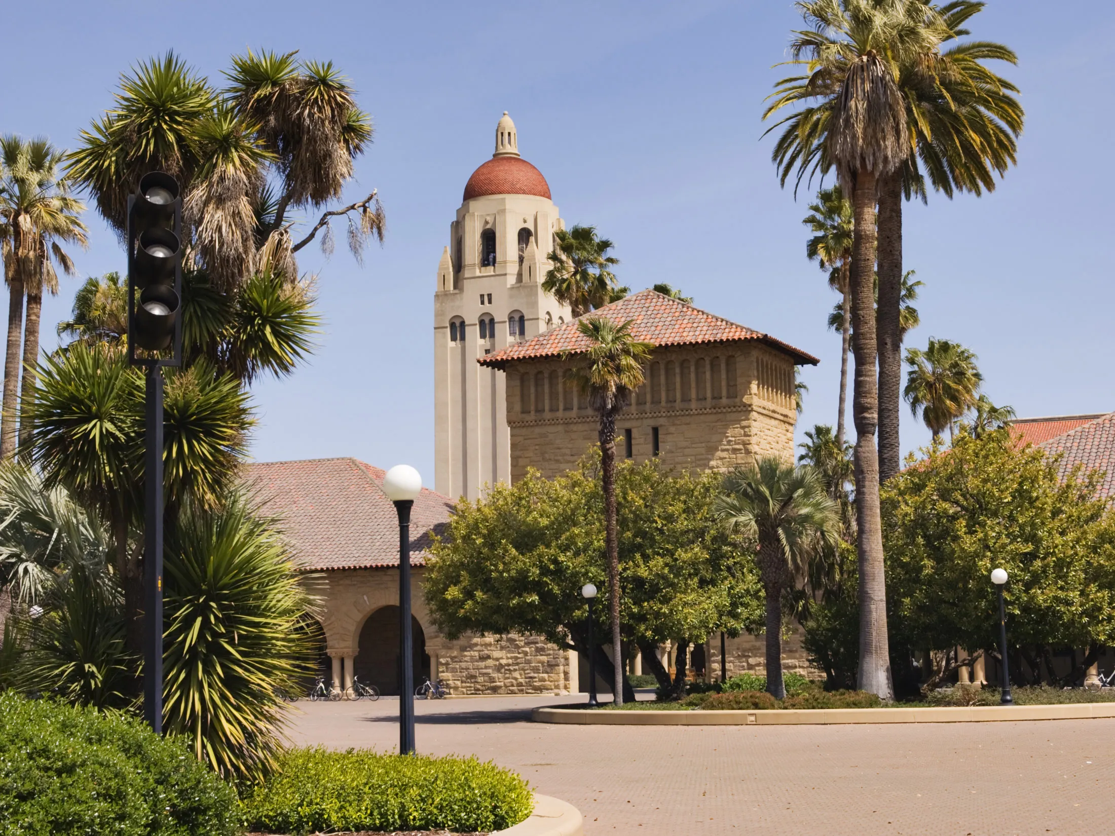 Stanford University.
