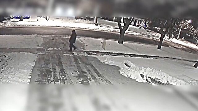 Police surveillance video still.