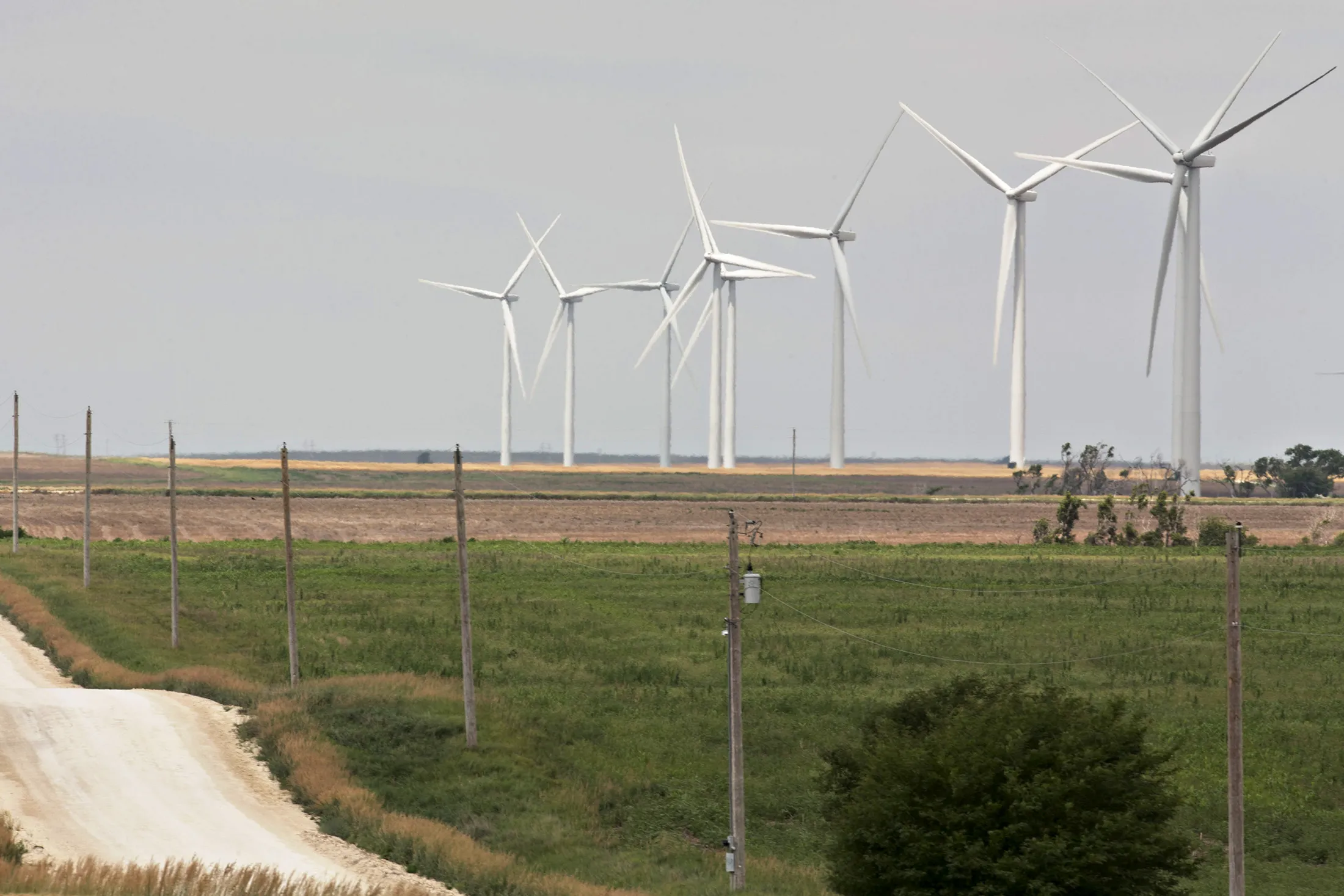 Wind turbines in Hays, Kansas, on June 29, 2017.

