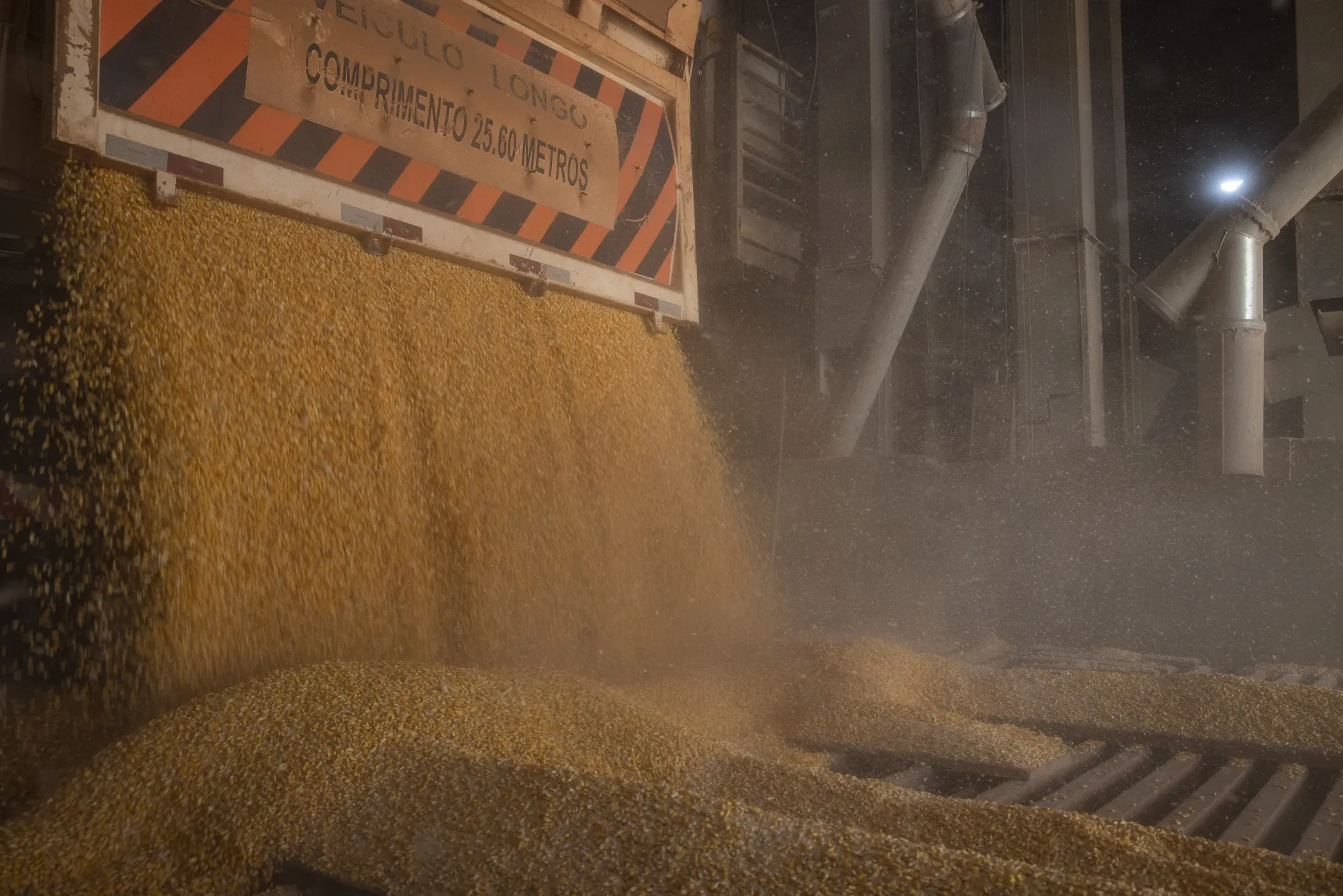 Corn is unloaded during a harvest in Sinop, Brazil.