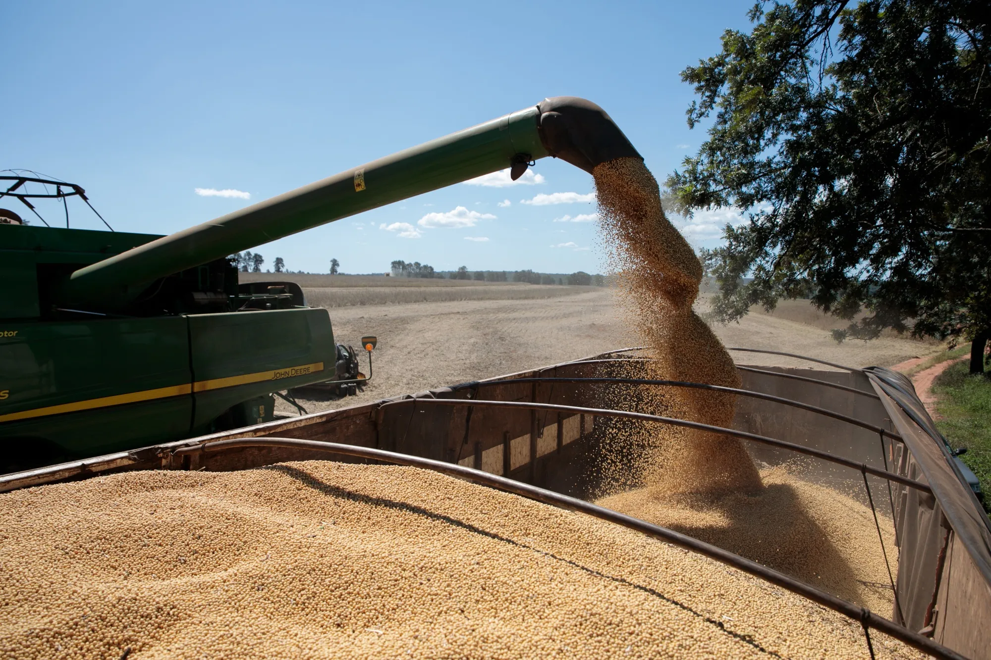 A Soy Harvest As Crop Futures Fall On Brazil Real Crash And Virus Woes