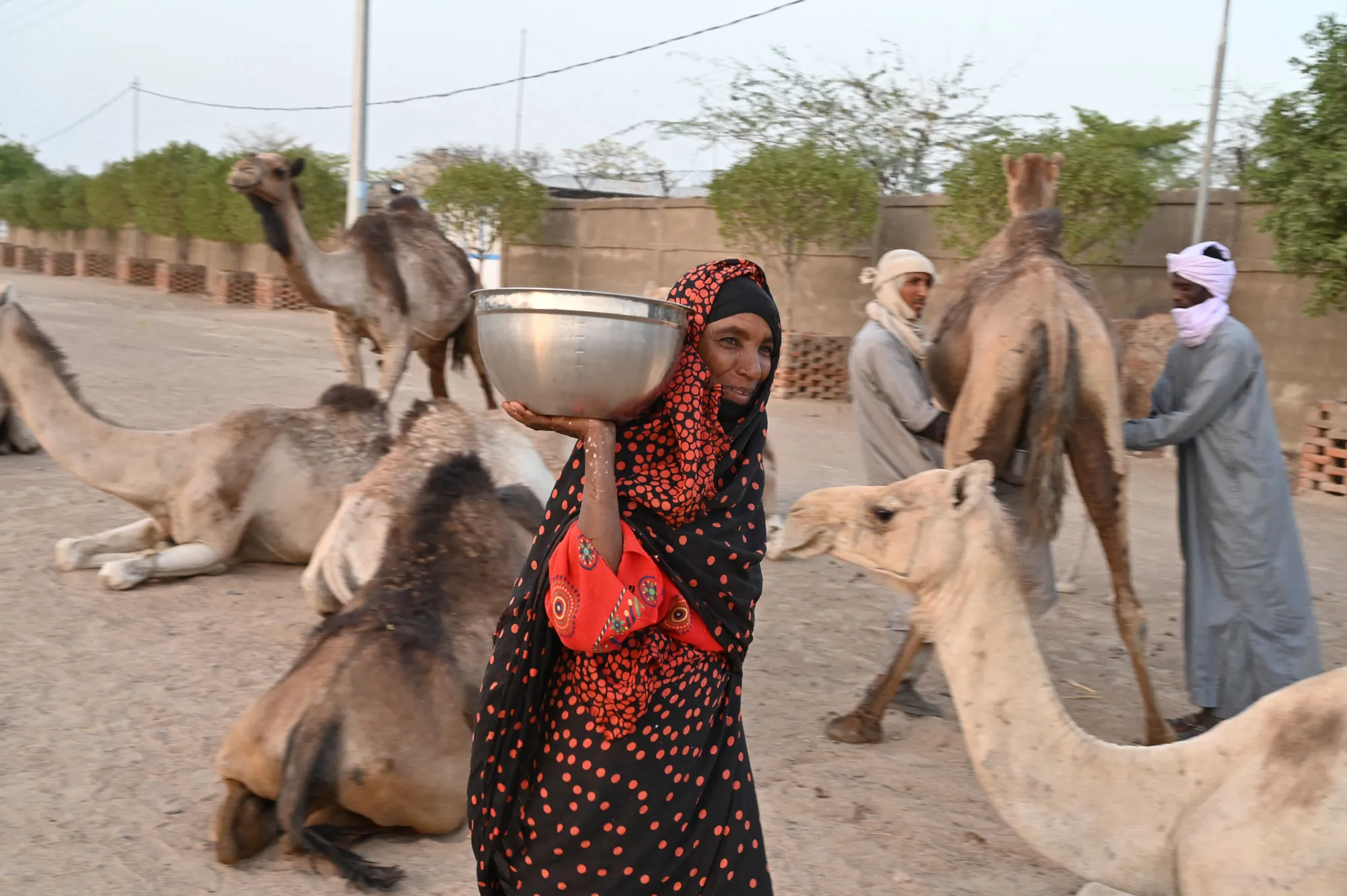 A woman carries a container filled with camel milk near N’Djamena, Chad
