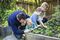 Green Fingers