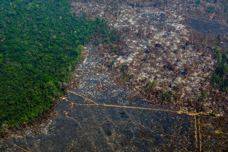 TOPSHOT-BRAZIL-DEFORESTATION-AMAZON