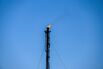 Equinor to Talk With Germany on Buying Oil From Costlier Wells