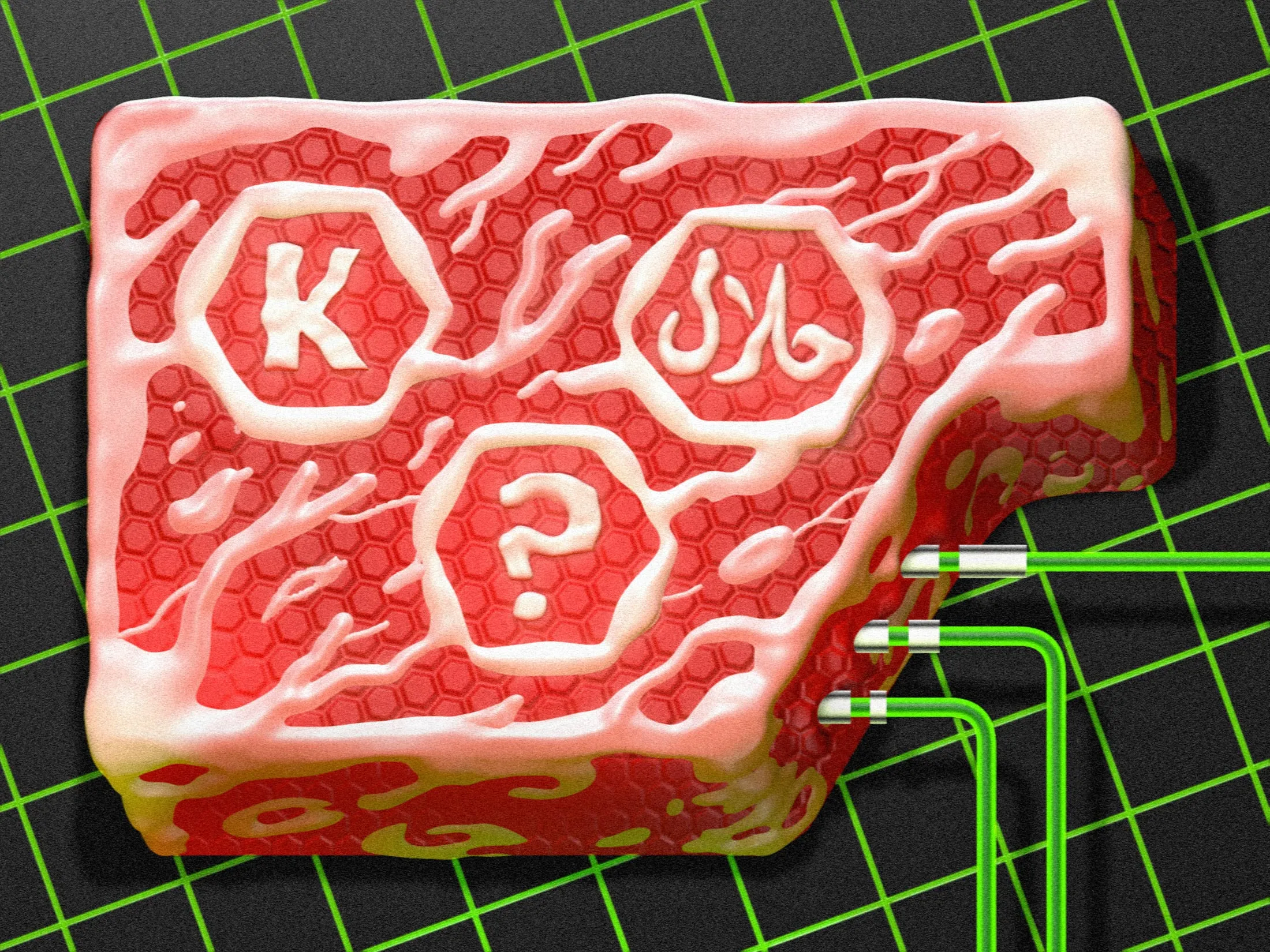 Is Lab-Grown Meat Halal or Kosher? Muslims, Jews Look for Answers -  Bloomberg