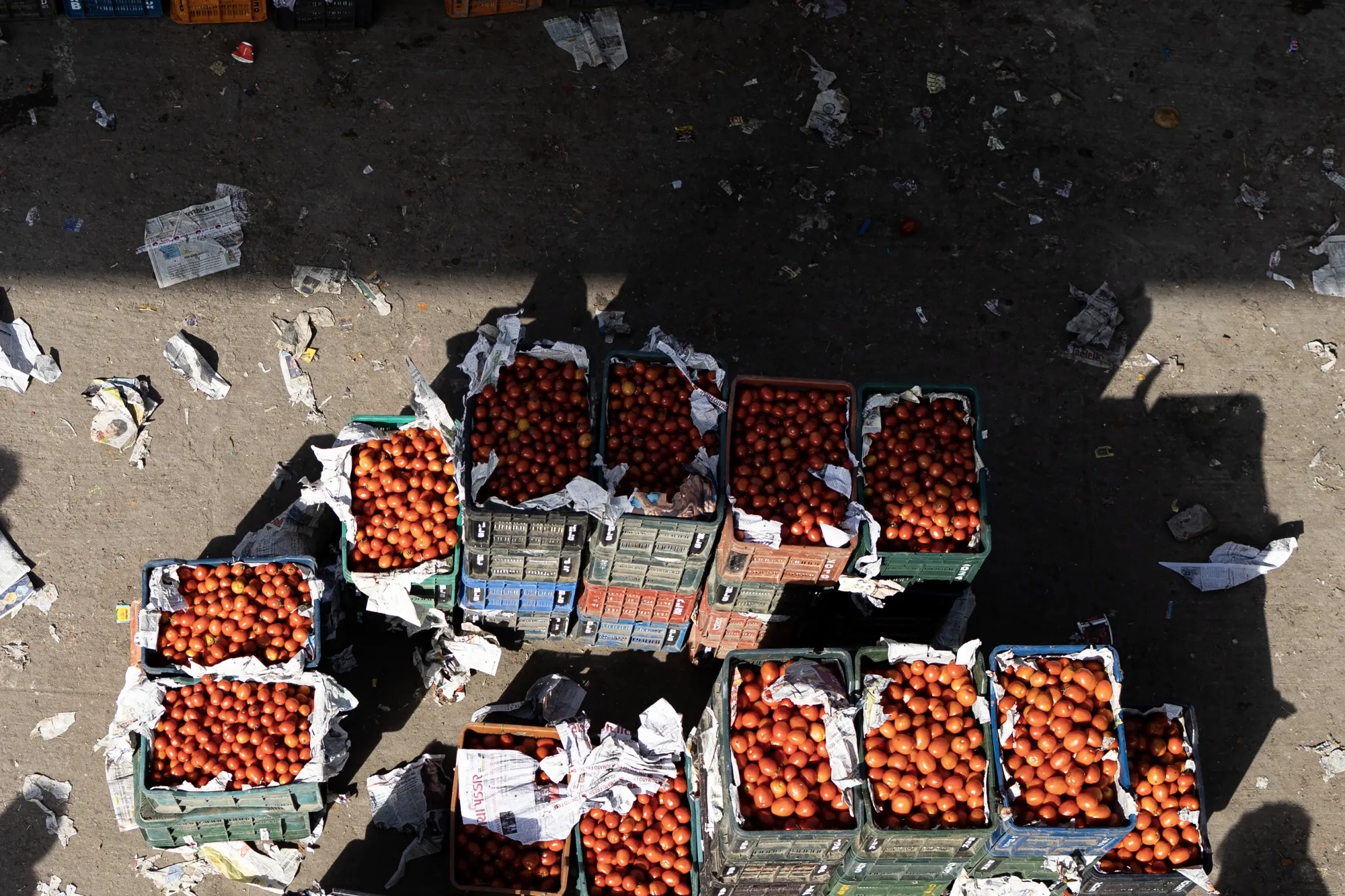 Crates of tomatoes for sale at a wholesale market in Ghaziabad, India.