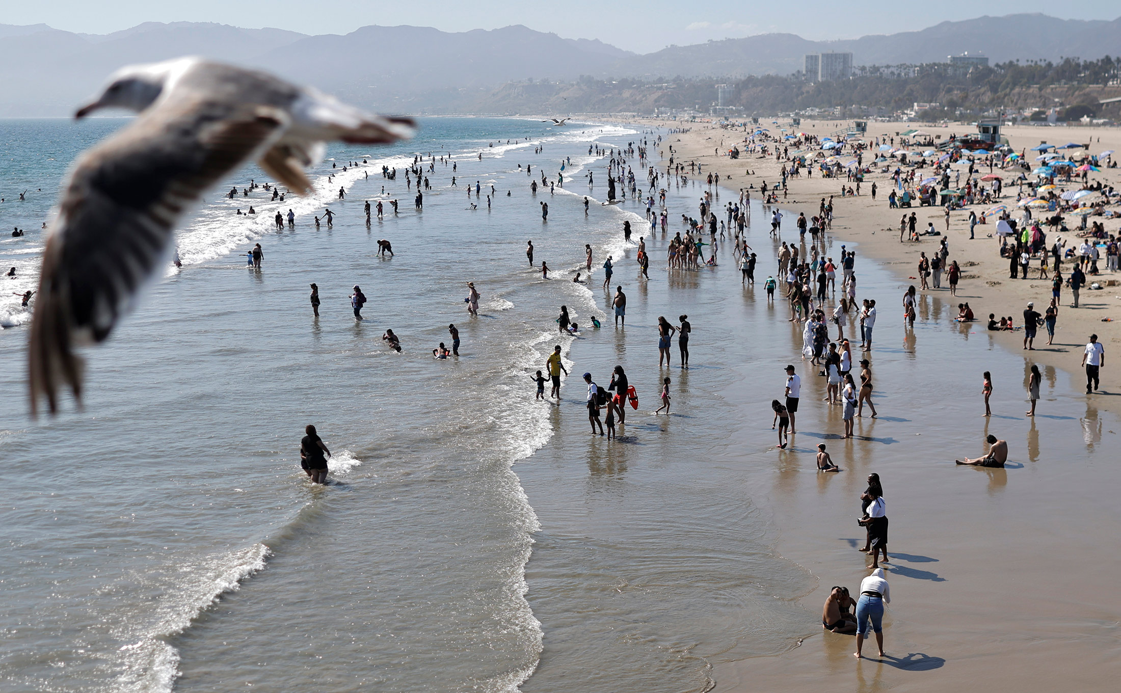 Image associated with story "Los Angeles' Rare Humidity Tied to Pacific Heat, Climate Change"