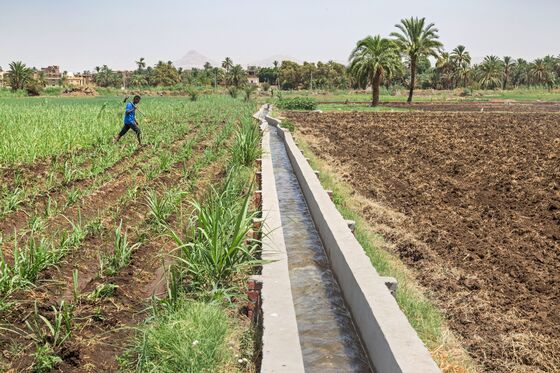 Life, Death and Laughter as Egypt Farmers Battle Climate Change