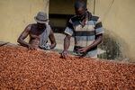 Farmers spread cocoa beans during the sun-drying process in Asikasu, Ghana.