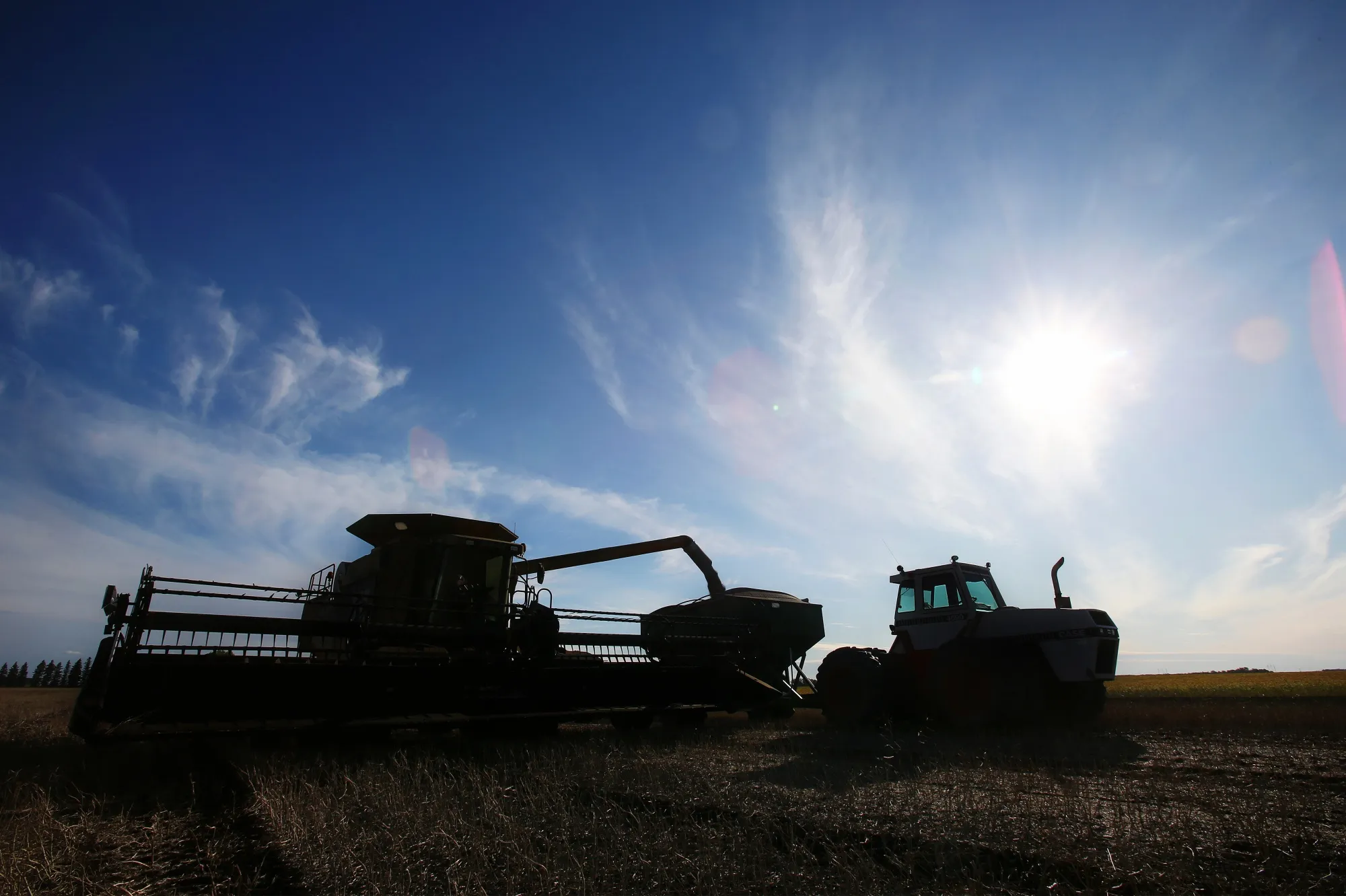 Canola is loaded into a grain cart on a farm in Manitoba.