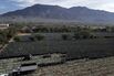 MEXICO-ECONOMY-AGRICULTURE-AGAVE-TEQUILA