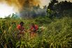 1465893724_sumatra fire hp