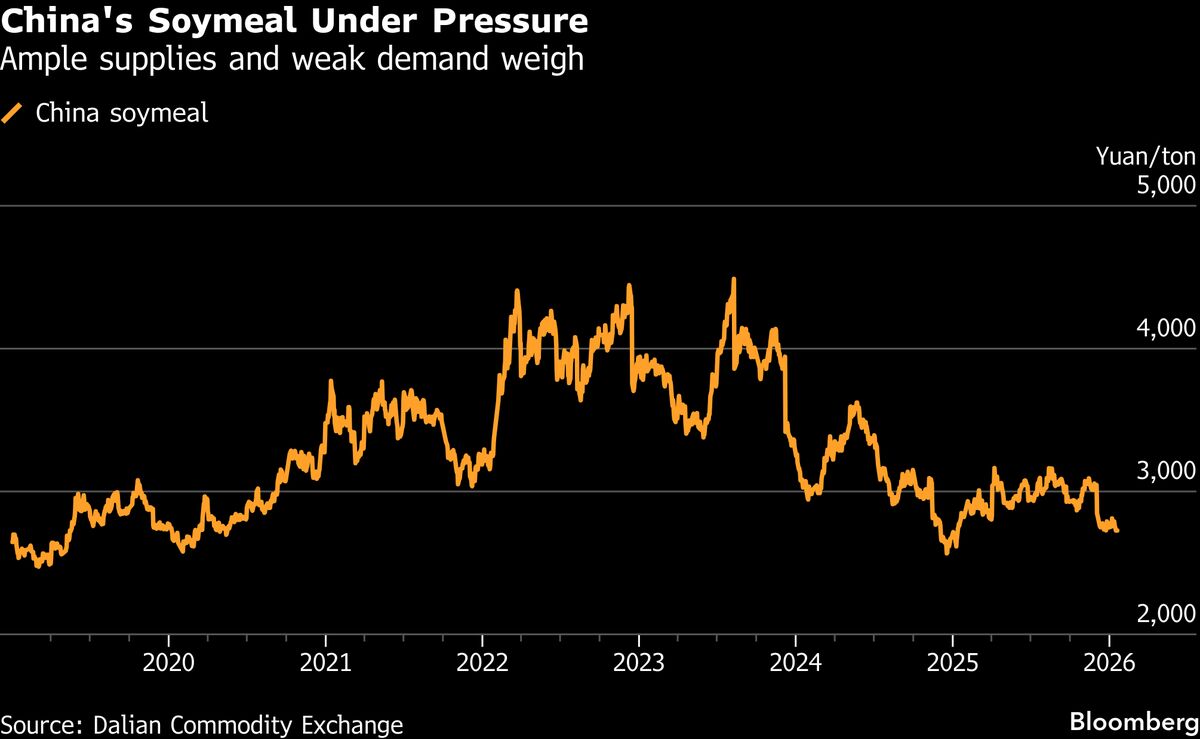 China Locks in Oilseed Abundance by Reviving Canadian Canola.