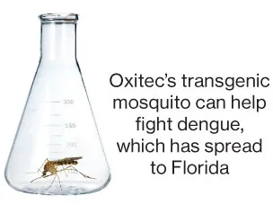 Investors Seek Ways to Profit From Global Warming