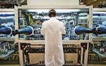 Scientist in Holland