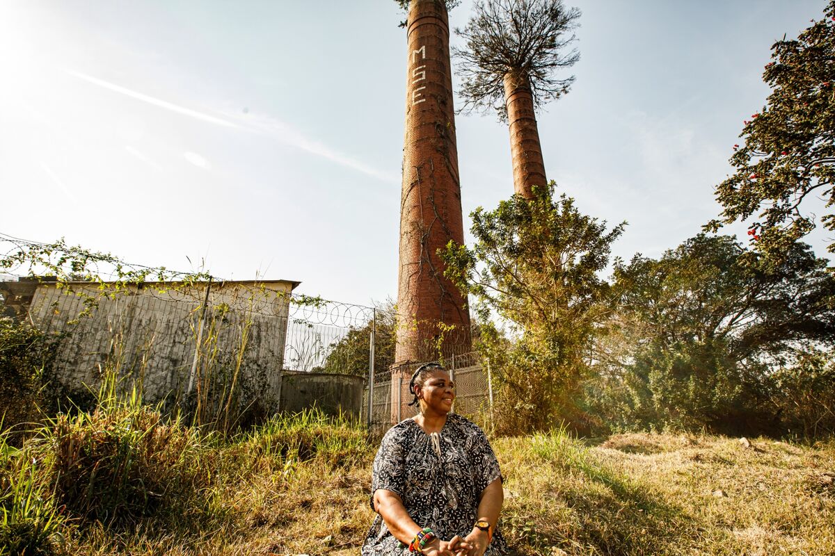South African Sugar Industry in Crisis as Imports Surge, Ethanol Plans Stalled
