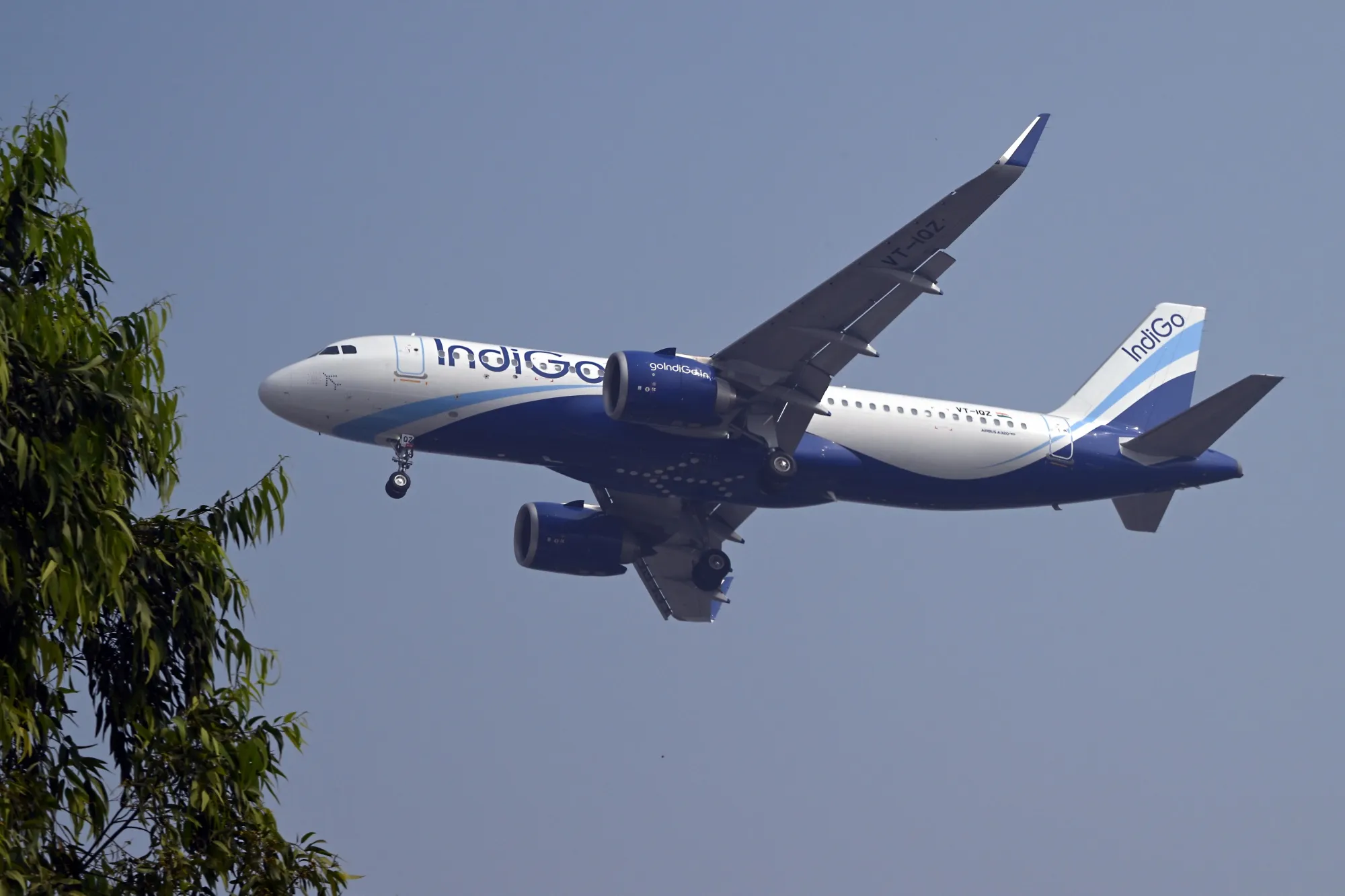 IndiGo has expressed willingness to start flights between India and China.