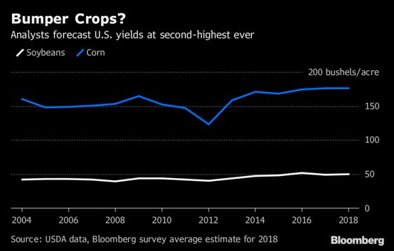 Near-Record U.S. Crops? Here’s What to Watch in WASDE Data