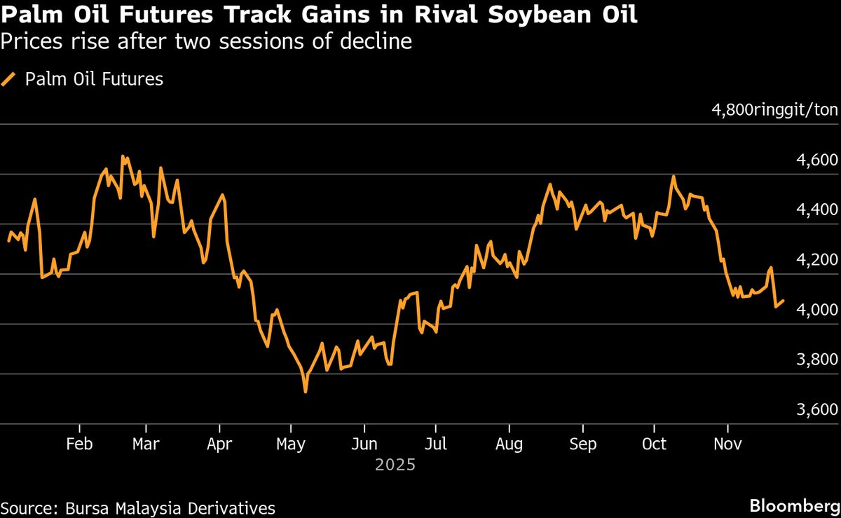 Palm Oil Starts the Week Higher, Tracking Stronger Soybean Oil.