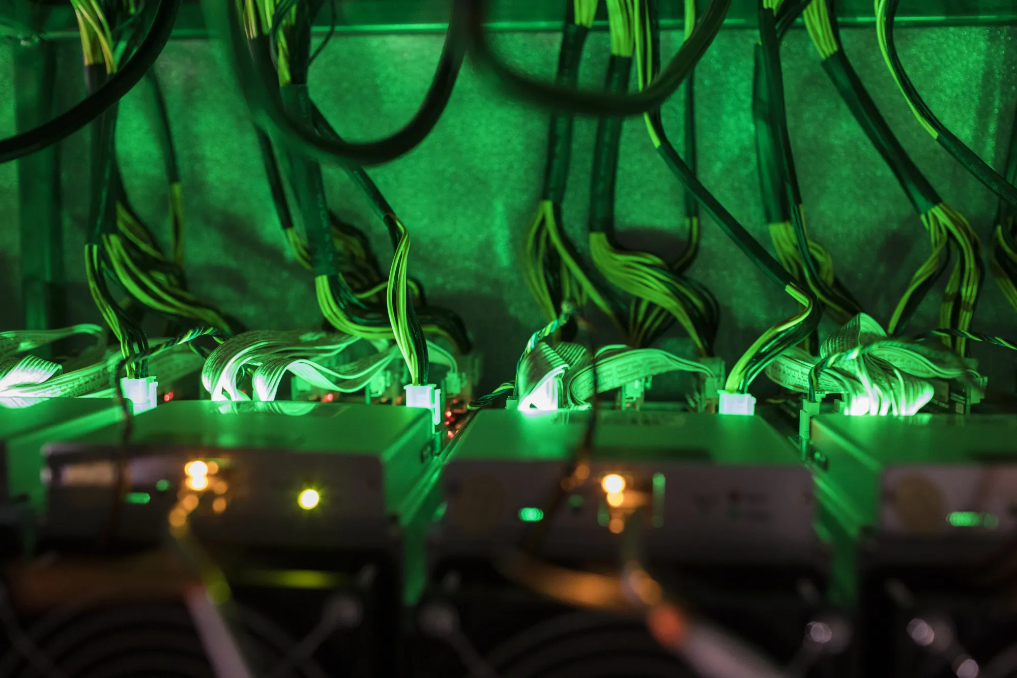 Cryptocurrency mining rigs operate in a cargo container at the Golden Fleece cryptocurrency mining company in Kutaisi, Georgia.