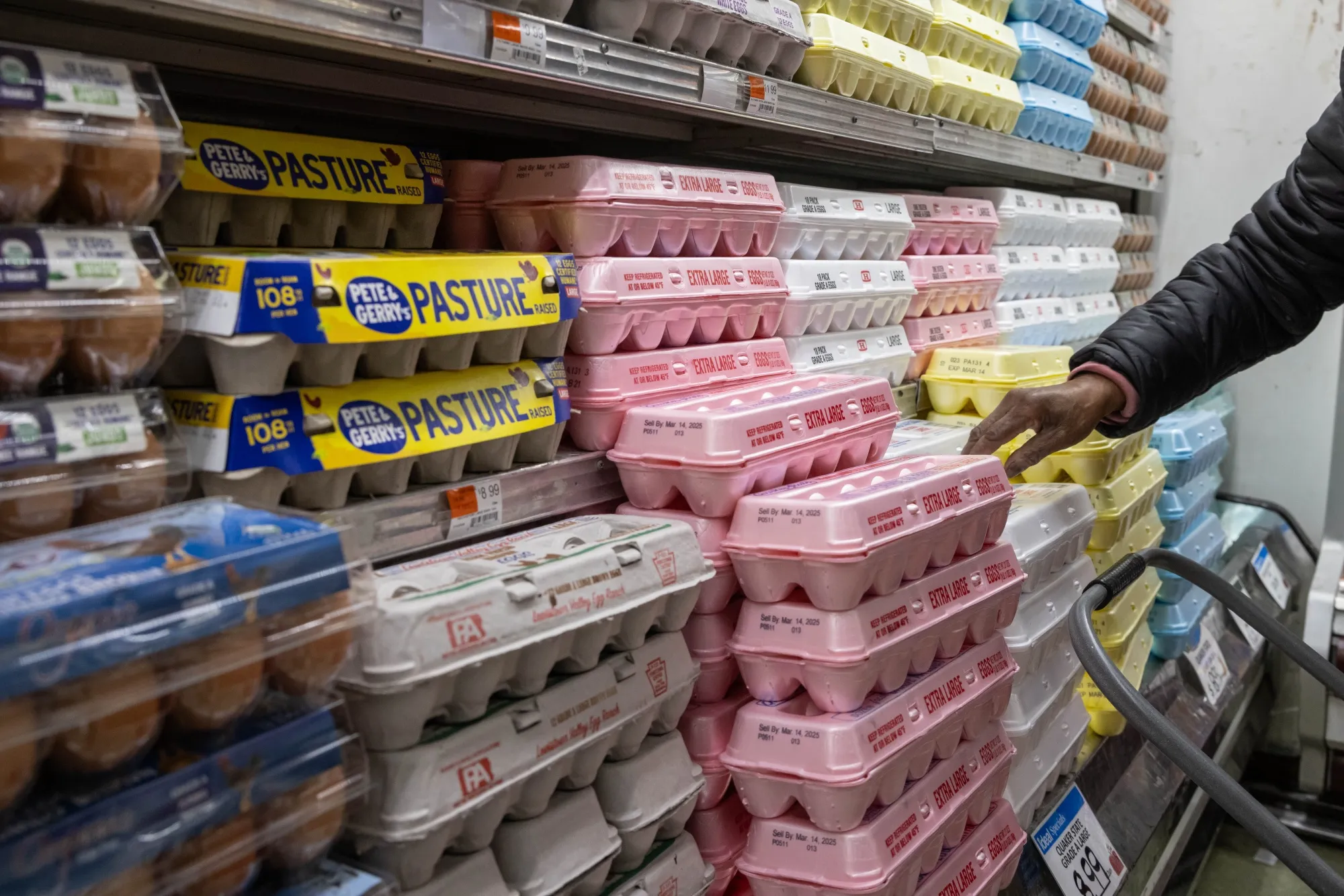 A shopper picks up eggs at a grocery store in New York.