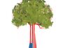 Book Review: 'American Canopy,' by Eric Rutkow
