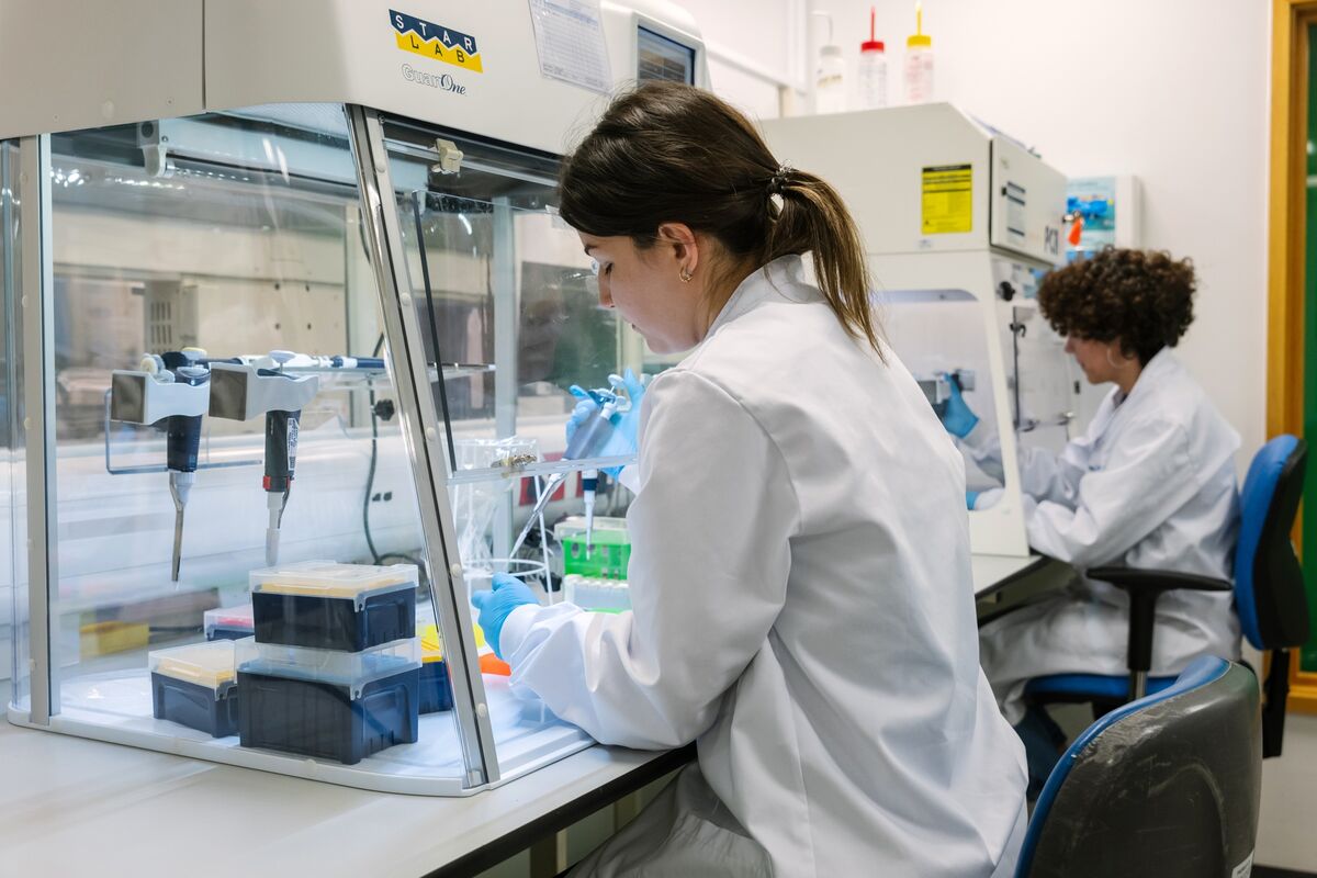 The UK’s Best Hope for Tech Prowess Sits in Its Labs, Not Apps or AI