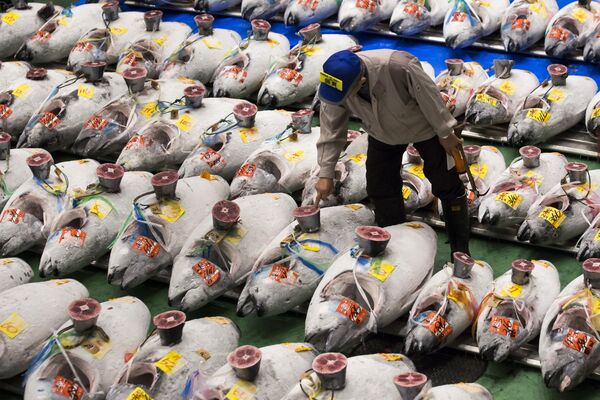 Toyosu Market Begins Operations After Tokyo Relocates World's Oldest Fish Market