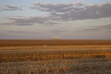 A corn field during a harvest in Sinop, Brazil.