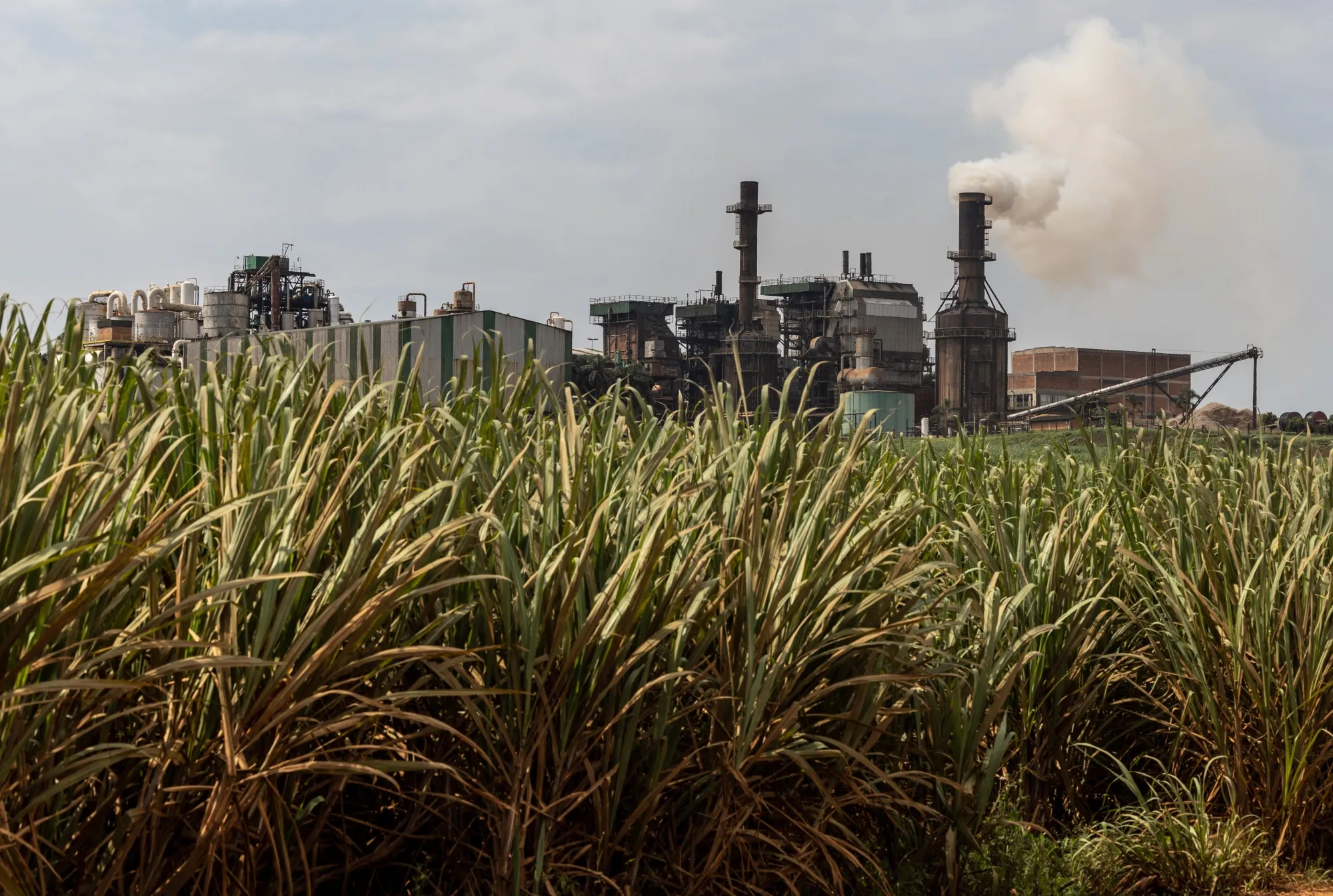 Brazil shipped about 300 million liters of ethanol to the US last year.