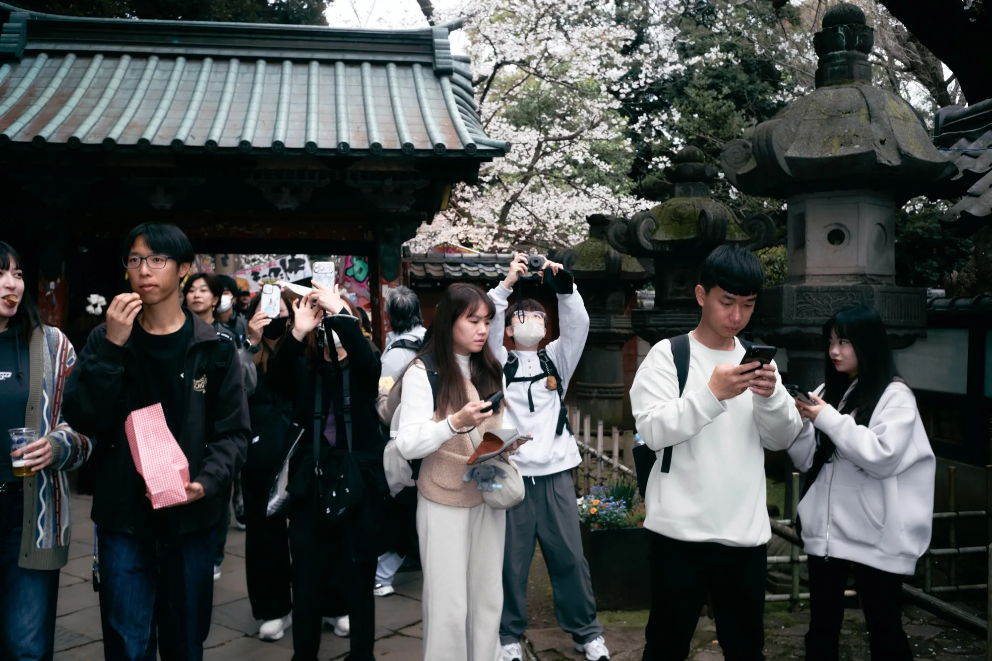 Visitors at Ueno Park in Tokyo, Japan.