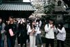 Japan Economy During Cherry Blossom Season