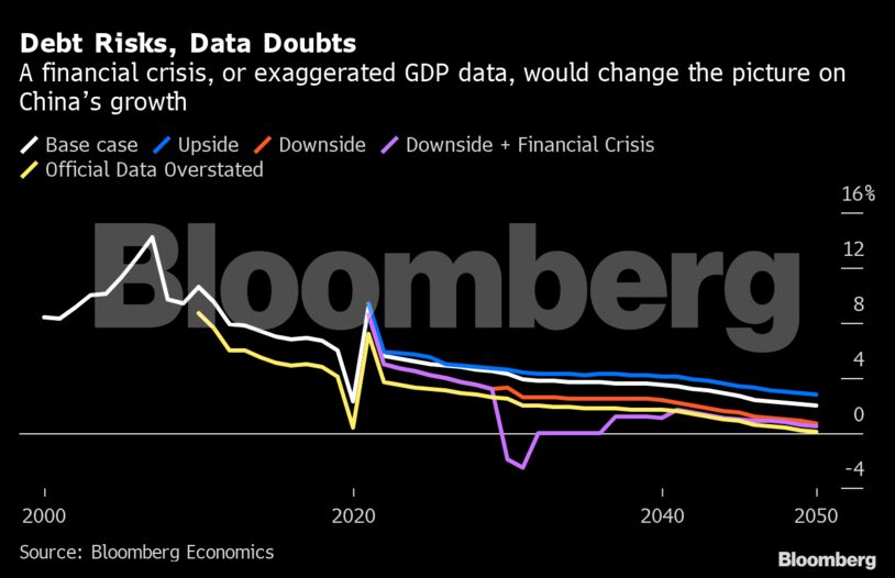 Debt Risks, Data Doubts
