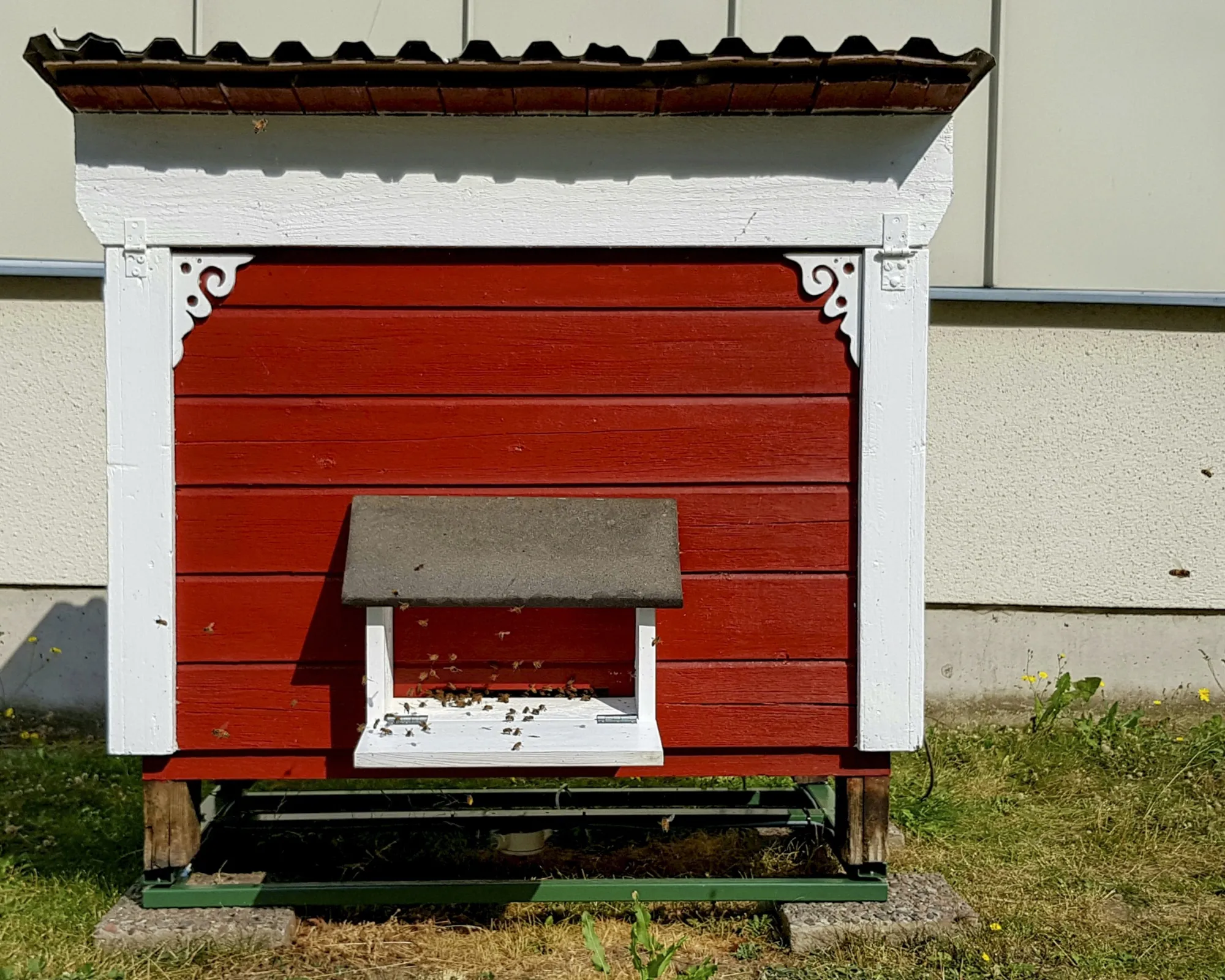 One of two beehives fitted with sensors.