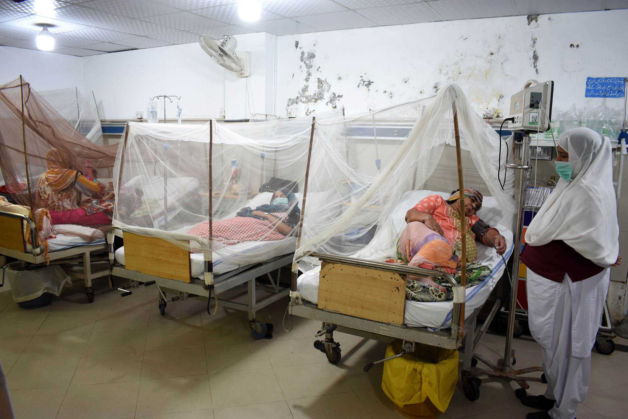 Dengue Patient