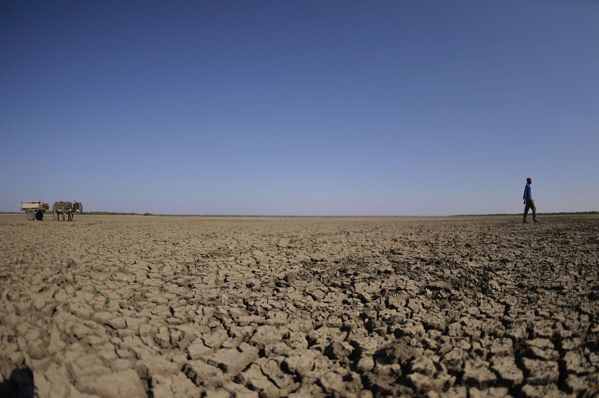 botswana-capital-s-water-supply-options-dry-up-amid-drought-bloomberg