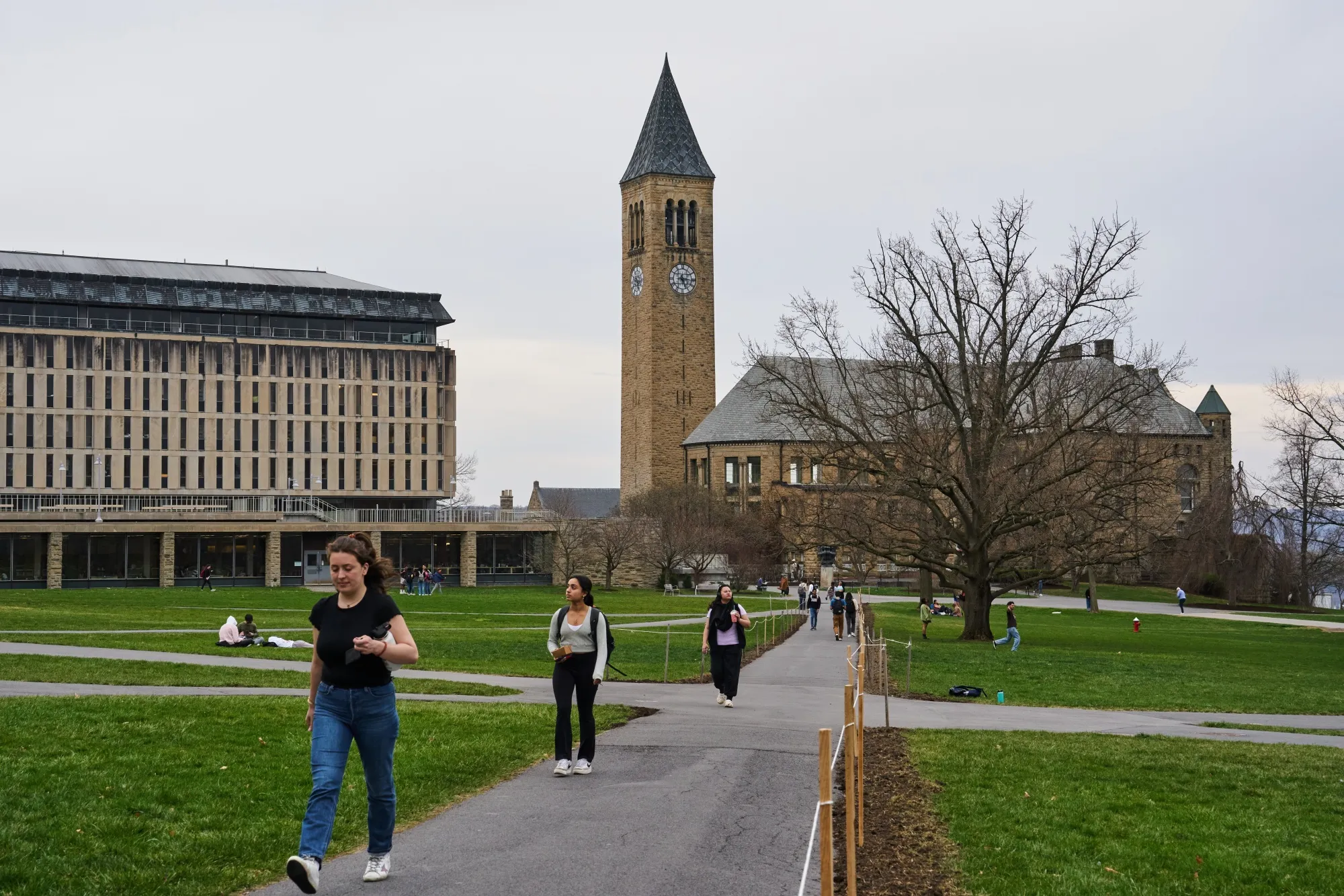Cornell is among a number of schools that have implemented hiring freezes amid the financial uncertainty due to cuts related to federal funding.
