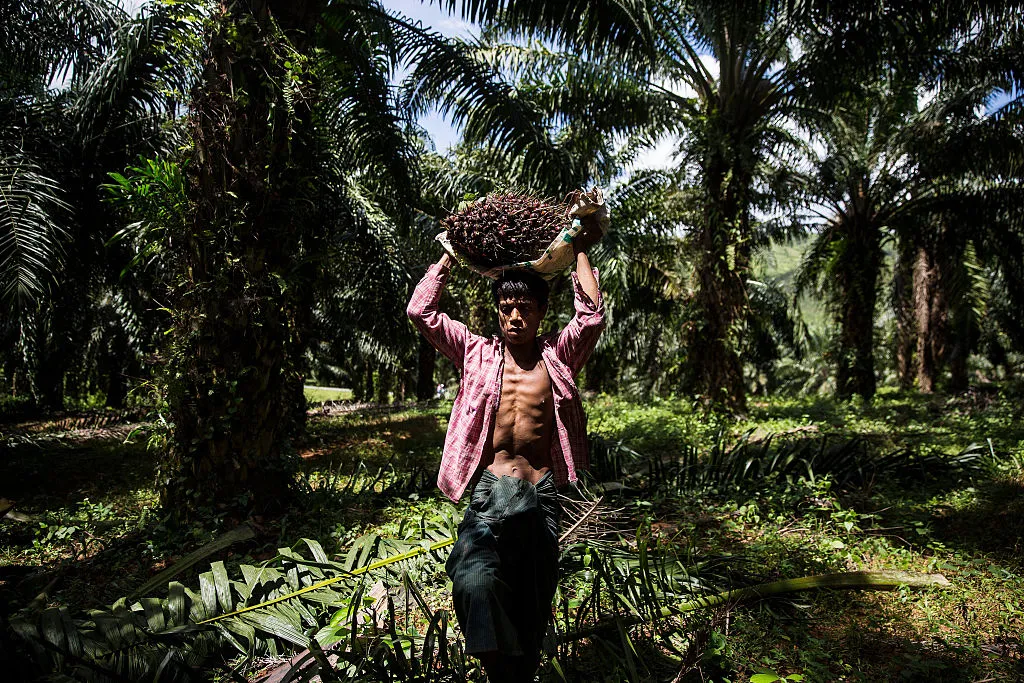 The EU ban would punish Malaysian workers.&nbsp;