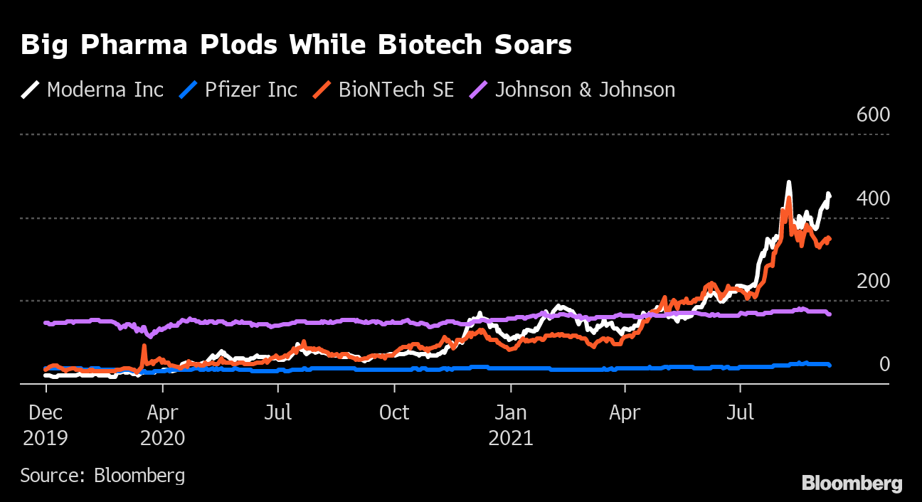 Pfizer Share Price CormacKarl