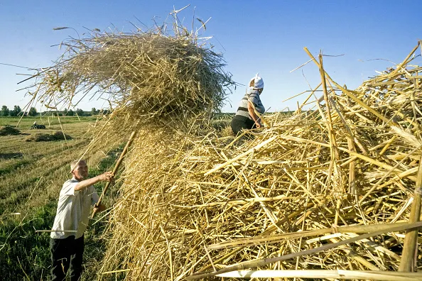 Without Ukrainian wheat, the world faces a shortage.