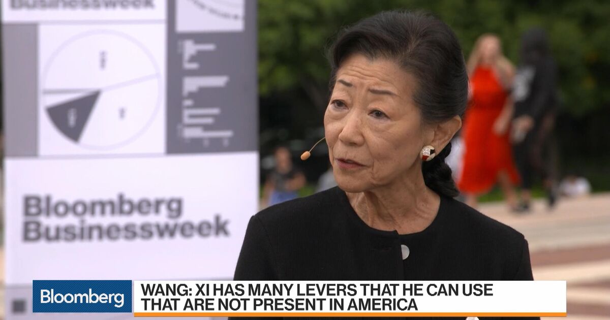 Watch Market Volatility: Why Lulu Wang Welcomes Wild Market Swings -  Bloomberg