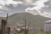 BVI-4-CMS-hp