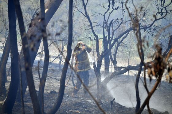Wildfire Emergency Declared as Heatwave Grips Australia