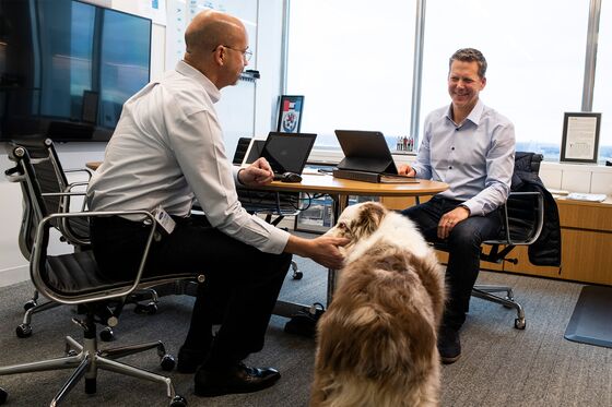 Ford Is Letting People Bring Dogs to Work in a Bid to Lure Tech Talent