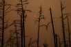 TOPSHOT-RUSSIA-FIRE-ENVIRONMENT