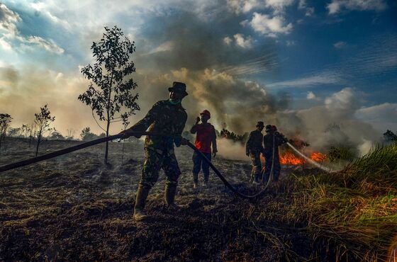 Indonesia Fights Fires in Palm-Growing Regions to Prevent Deadly Haze