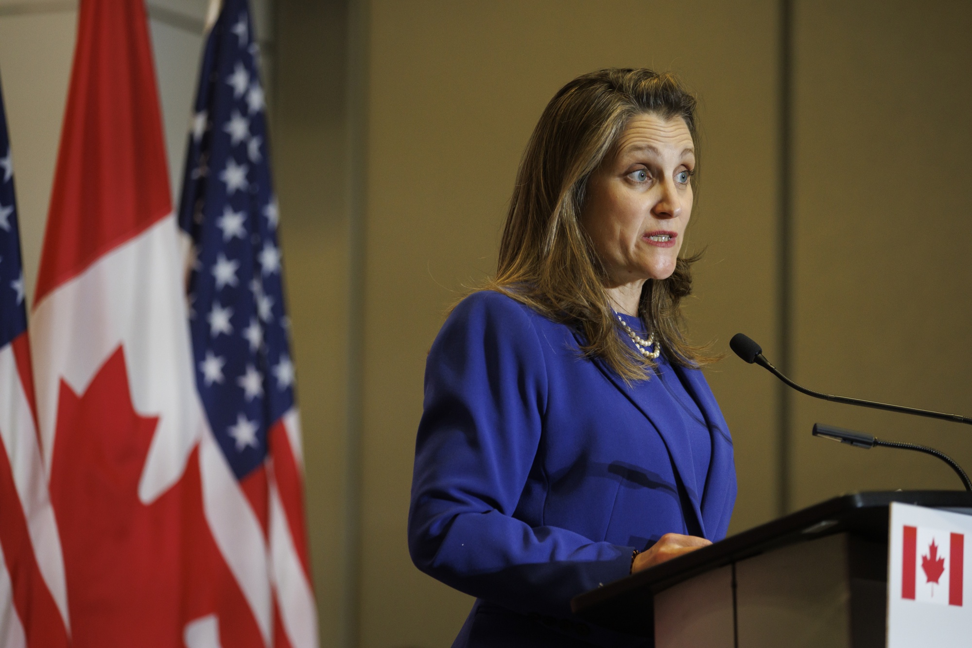 Freeland Says Canada Has Responsibility to Help Europe on Energy